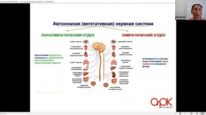 6 точек управления стрессом