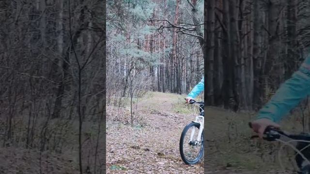 13.11.2024 #бегаем #гоняем #bianchi