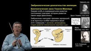 Дубынин В.А. - 100 часов школьной биологии - 2.27. Макроэволюция