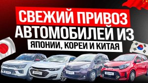 Авто из-за границы Chevrolet Malibu❗SsangYong Korando❗Toyota Ractis❗Kia Morning❗