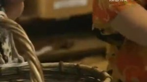 Новгород Письма из средневековья