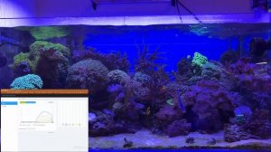 Отзыв о светильнике для морского аквариума Radium PRO 90 после трех месяцев использования