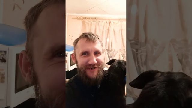 Мы с кабанчиком вдвоём, работаем на дизеле #shorts