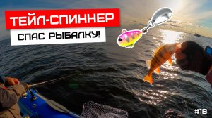 Тейл-спиннер спас рыбалку! Упустили щуку! Ладога, октябрь.