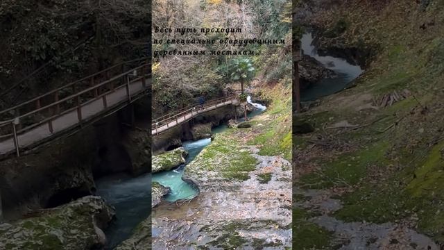 Абхазия. Ущелье Черниговка