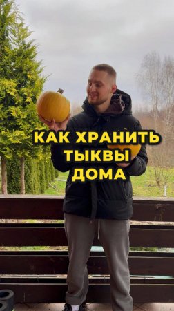 Как хранить тыквы дома