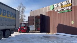 Семена газона купить оптом с доставкой