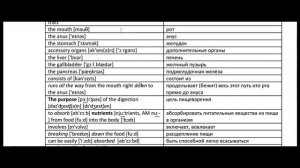 ГАСТРОЭНТЕРОЛОГИЯ. Пример #1. Медицинский Английский с Татьяной Глушковой