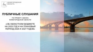 Публичные слушания по проекту закона Нижегородской области об областном бюджете на 2025-2027 годы