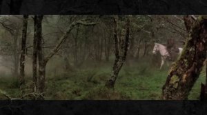 Dimmu Borgir - For All Tid (unofficial video с переводом)