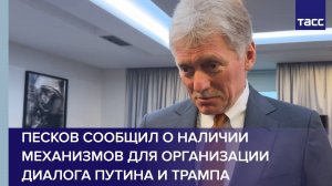 Песков сообщил о наличии механизмов для организации диалога Путина и Трампа