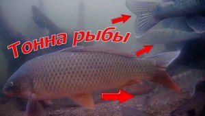 Подводная камера ФокусФиш (FocusFish)