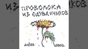 кавер на Алёна Швец - мальчики не плачут