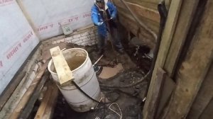 абиссинка для молодой семьи