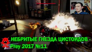 НЕБРИТЫЕ ГНЕЗДА ЦИСТОИДОВ - Prey 2017 №11