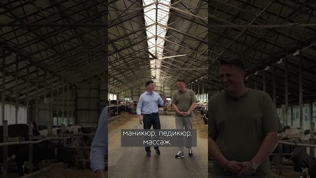 Условия для коров на современной ферме
