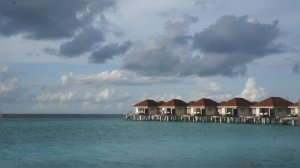 Пейзажный бассейн с водопадом.