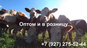 Семена Кормовых трав .