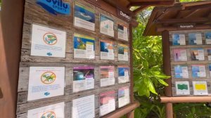 4K НЕТ НИЧЕГО ЛУЧШЕ, ЧЕМ - KANDOLHU MALDIVES 5*, СЕВЕРНЫЙ АЛИФУ- АРИ АТОЛЛ, МАЛЬДИВЫ!