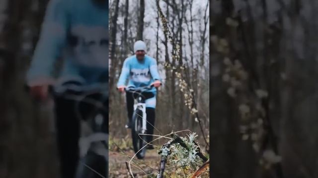 14 ноября 2024 г.