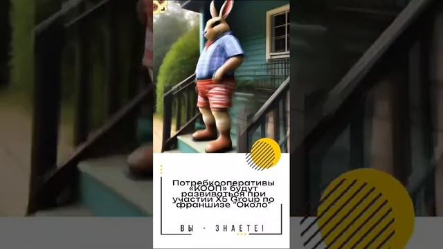 Потребкооперативы «КООП» будут развиваться при участии X5 Group по франшизе "Около"