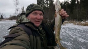 Открытие зимнего сезона 2024 - 2025 \ Опасный первый лёд \ Рыбалка на жерлицы \ 10 ноября