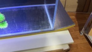 Проверяем морской аквариум с внутренним сампом. 129*47*45 см