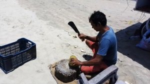 Арамболь. Кокосы на пляже.