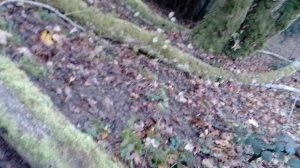 палатка на крутом склоне горы 70-80 градусов