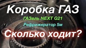 В Нижний Новгород на ремонт коробки ГАЗель NEXT G2,5 Рефрижерато 5м