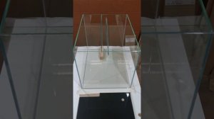 Обзор готовых аквариумов