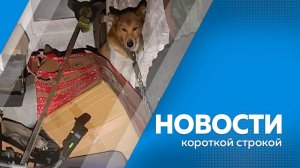 Новости короткие 18.11.2024г