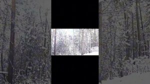 зимняя поездка на озеро Хурлакель