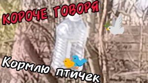 КОРОЧЕ ГОВОРЯ Кормлю птичек.🐦🐦🐦🐦🐦🐦