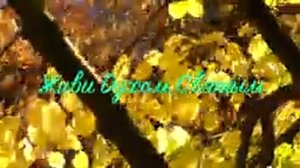 07. Исихия иером. Симон (Безкровный)_144p.mp4