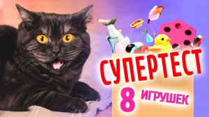 Супертест игрушек с котом Петровичем - КУСЬ-ШОУ - Игрушки для котиков