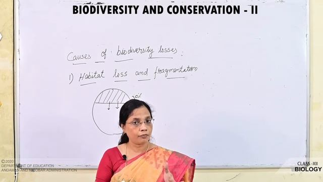 CLASS 12 BIOLOGY-Biodiversity & Conservation -2