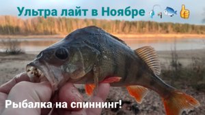 Ноябрь,Микро джиг на Окуня .