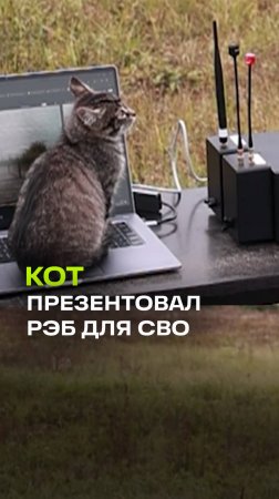 Кот принял участие в презентации нового РЭБа для СВО