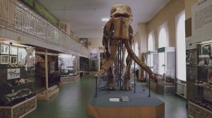 Ставропольский музей-заповедник имени Г.Н. Прозрителева и Г.К. Праве. Ставрополь.