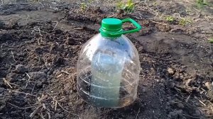 Капельный полив дистиллированной водой конденс компрессор Садоводство