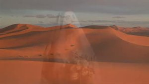 Карвон 🌴 Миржалол Нематов 🎶🎼🎶🧸🎵