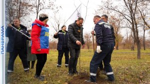 «Тысяча деревьев» в Енакиево: сотрудники металлургического завода приняли участие в озеленении