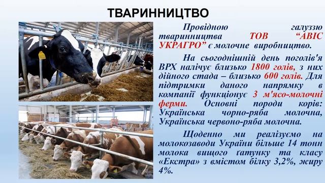 Презентация компании АВИС УКРАГРО смотреть онлайн