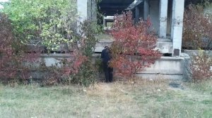 Магний и марганцовка