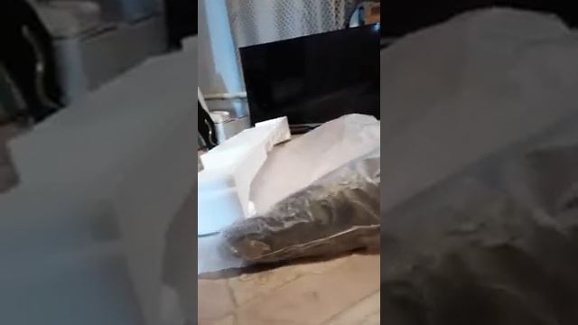 Монстро. Ужастик