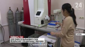 Новое место скопления газовых сипов обнаружили крымские учёные в Черном море