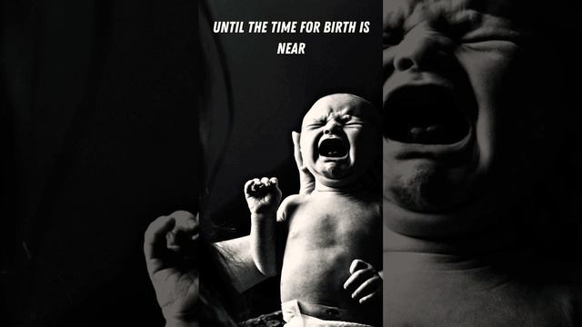 Human Reproduction | Poem #justforfun #humanreproduction #reproduction