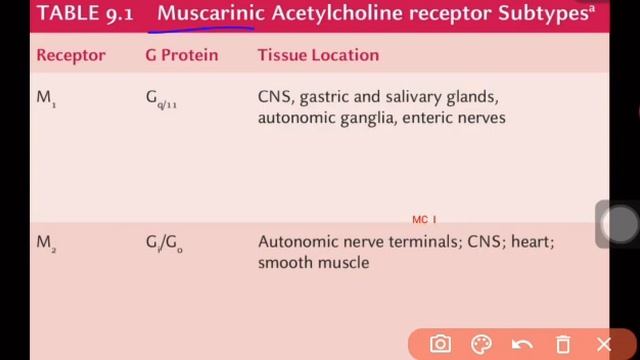 Metabolism of Acetylcholine,it's receptor distribution in 16 min_ as per B Pharm syllabus смотреть онлайн