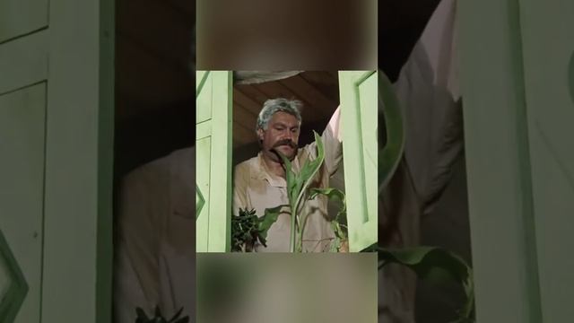 55 лет фильму "Белое солнце пустыни". А.Кузнецов. П.Луспекаев. С.Мишулин #кино #юмор #фильм #shorts